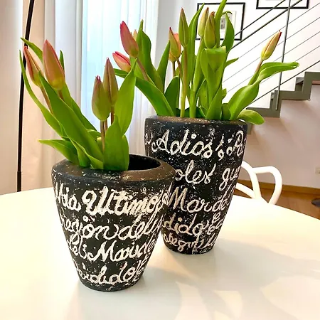 Loft Crocetta * טורינו